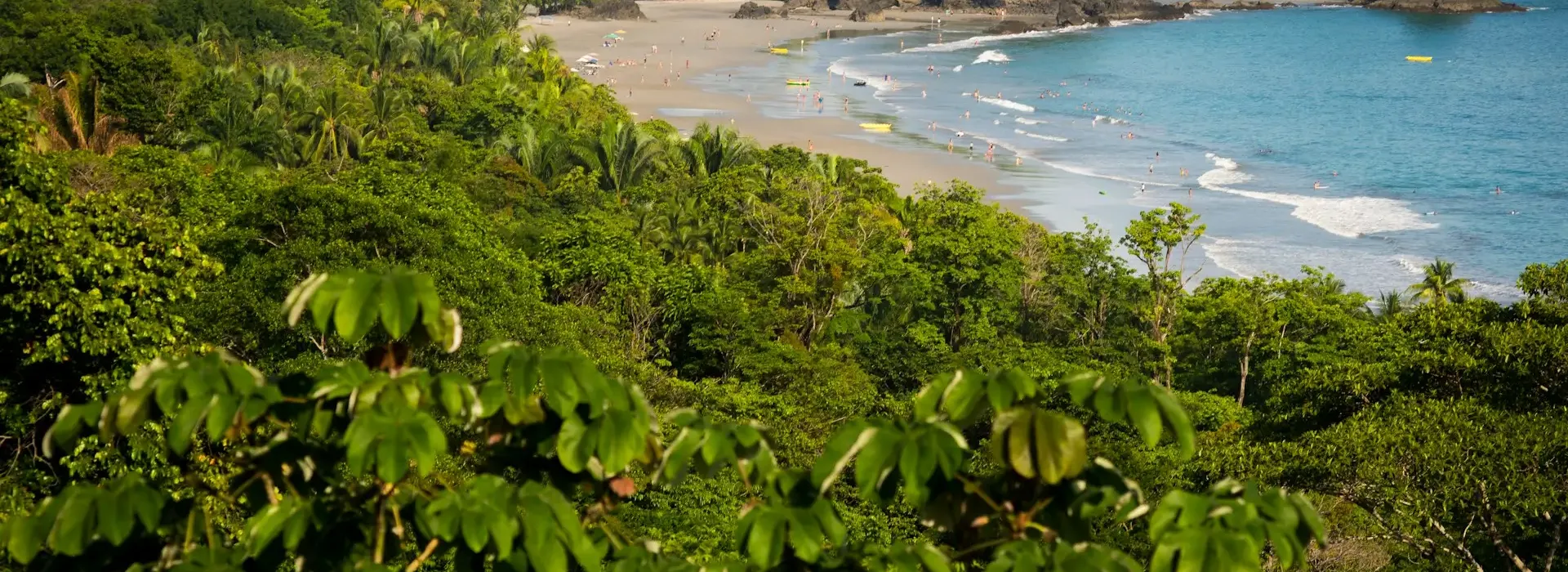 Tropical vegetation covering hillsides in Costa Rica at golden hour