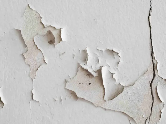Property maintenance needed in Costa Rica — peeling exterior paint and overgrown vegetation on a tropical villa