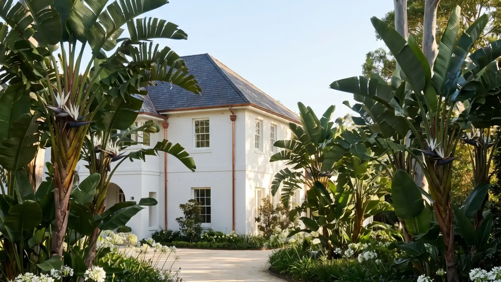 Garden maintenance Costa Rica — well-kept villa grounds with trimmed palms and clear tropical pathways